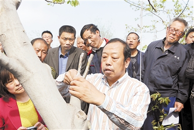 2012��4��13�գ����ٳ��غӱ������ҵ���޹�˾�Ƽ�԰���������ΪȺ���ֳ���ʾ��Ƥ���Ҹ߽ӻ��ż������ӱ��ձ����� ������ ��